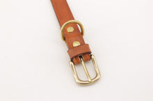 Carica l&#39;immagine nel visualizzatore di Gallery, collare-cuoio-ottone-artigianale-jeandessel-handmade-leather-collar-solidbrass-
